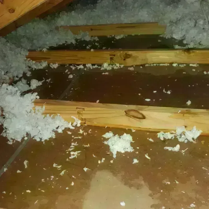 Attic Water Damage in Plymouth, NH