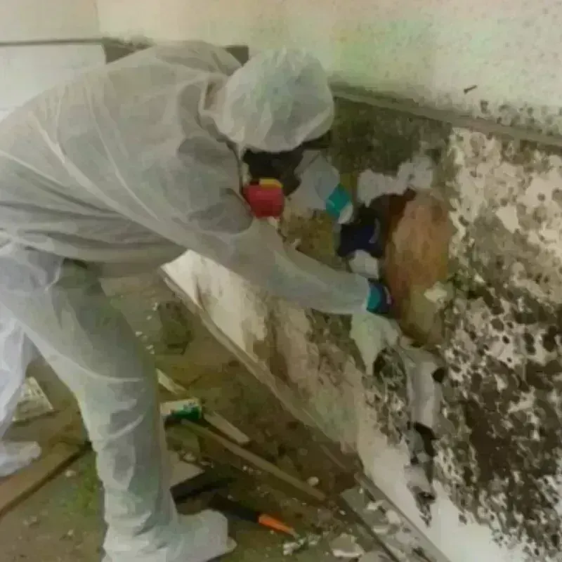 Mold Remediation and Removal in Plymouth, NH