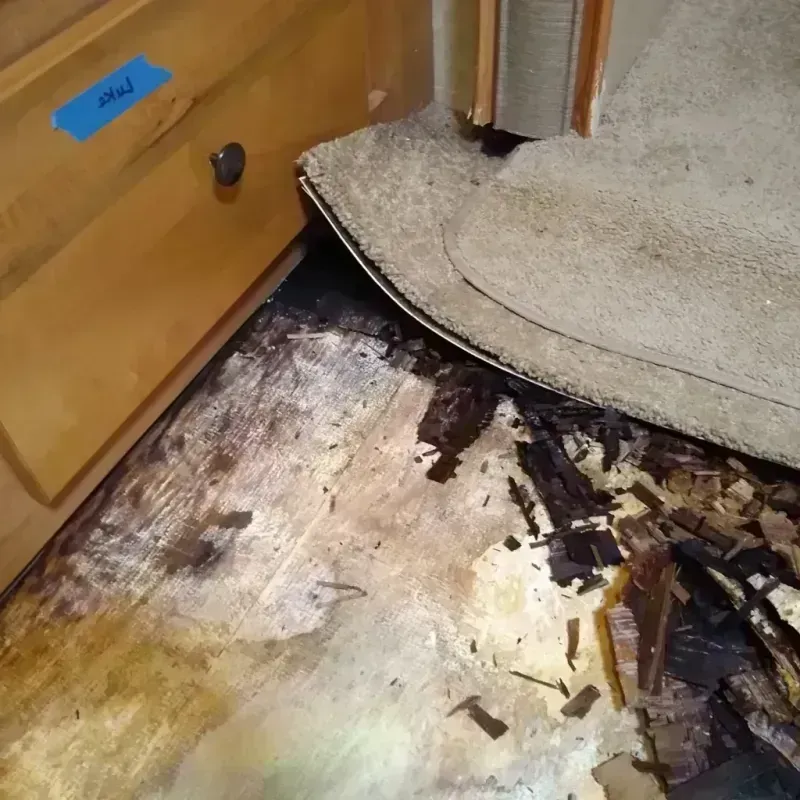 Best Wood Floor Water Damage Service in Plymouth, NH